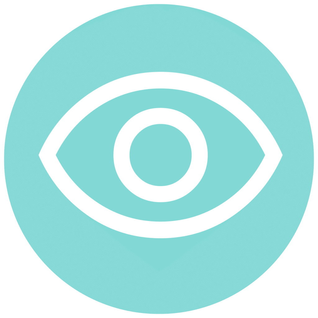 visibility teal circle icon